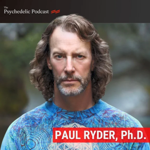 The Psychedelic Podcast
